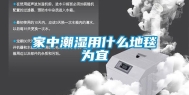家中潮湿用什么地毯为宜
