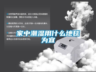 行业新闻家中潮湿用什么地毯为宜