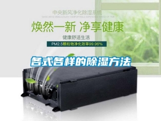 企业新闻各式各样的除湿方法