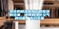 现在的除湿机除了有除湿的效果，还具有净化空气的功能，十分全能