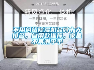 企业新闻不用纠结除湿机品牌十大排名，自用款推荐，家里不再潮乎乎