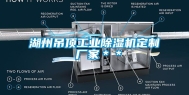 湖州吊顶工业除湿机定制 厂家＊＊
