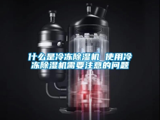 行业新闻什么是冷冻除湿机 使用冷冻除湿机需要注意的问题