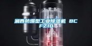 湘西防爆型工业除湿机 BCFZ10