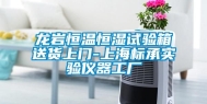 龙岩恒温恒湿试验箱送货上门-上海标承实验仪器工厂