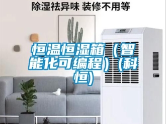 知识百科恒温恒湿箱（智能化可编程）(科恒)