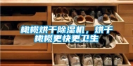橄榄烘干除湿机，烘干橄榄更快更卫生