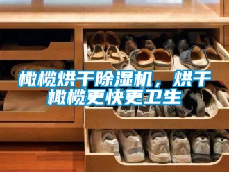 行业新闻橄榄烘干除湿机，烘干橄榄更快更卫生