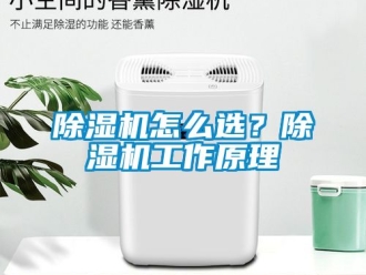 行业新闻除湿机怎么选？除湿机工作原理