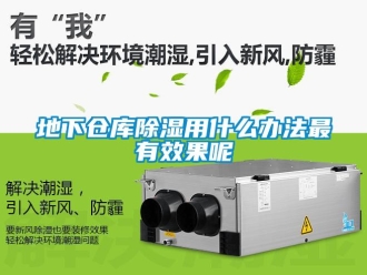 企业新闻地下仓库除湿用什么办法最有效果呢