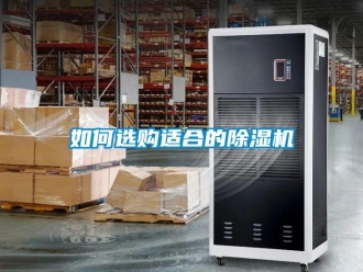 行业新闻如何选购适合的除湿机