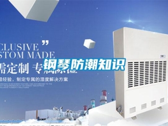 企业新闻钢琴防潮知识