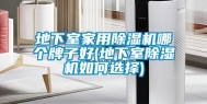 地下室家用除湿机哪个牌子好(地下室除湿机如何选择)