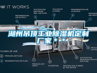 企业新闻湖州吊顶工业除湿机定制 厂家＊＊