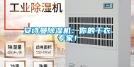安诗曼除湿机：你的干衣专家！