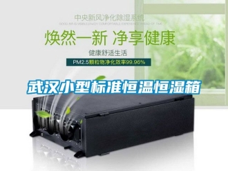 知识百科武汉小型标准恒温恒湿箱