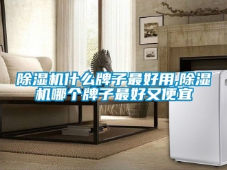 行业新闻除湿机什么牌子最好用,除湿机哪个牌子最好又便宜