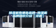 除湿机有哪些品牌 除湿机品牌知识介绍【详解】