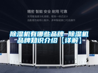 企业新闻除湿机有哪些品牌 除湿机品牌知识介绍【详解】
