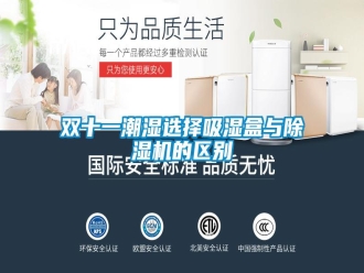 知识百科双十一潮湿选择吸湿盒与除湿机的区别