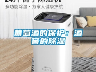 行业新闻葡萄酒的保护：酒窖的除湿