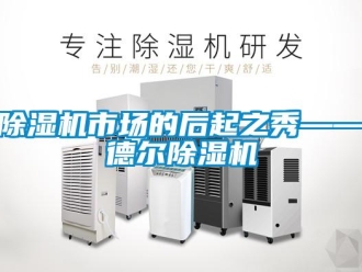 企业新闻除湿机市场的后起之秀——德尔除湿机