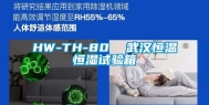 HW-TH-80  武汉恒温恒湿试验箱