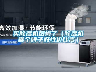 行业新闻买除湿机后悔了（除湿机哪个牌子好性价比高）
