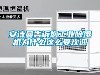 企业新闻安诗曼告诉您工业除湿机为什么这么受欢迎