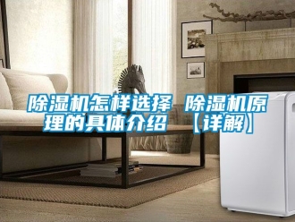 行业新闻除湿机怎样选择 除湿机原理的具体介绍 【详解】
