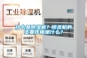 什么是除湿机？除湿机的主要作用是什么？