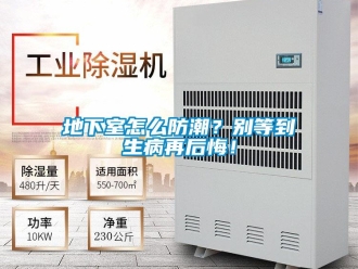 企业新闻地下室怎么防潮？别等到生病再后悔！