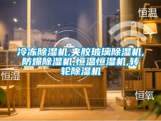 企业新闻冷冻除湿机,夹胶玻璃除湿机,防爆除湿机,恒温恒湿机,转轮除湿机