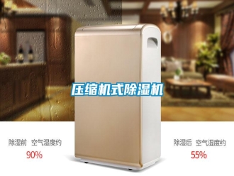 知识百科压缩机式除湿机