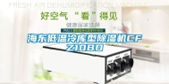 海东低温冷库型除湿机CFZ10BD