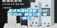 柜式恒温恒湿机 EHF-30N 精密空调 机房空调