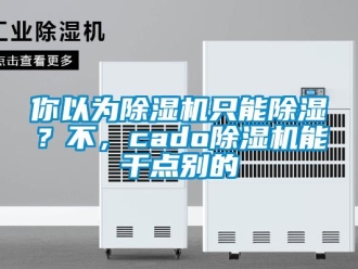 行业新闻你以为除湿机只能除湿？不，cado除湿机能干点别的