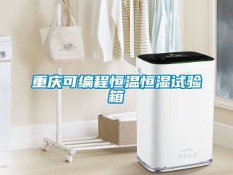 知识百科重庆可编程恒温恒湿试验箱