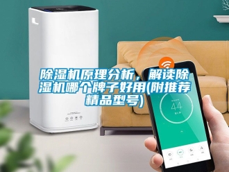 行业新闻除湿机原理分析，解读除湿机哪个牌子好用(附推荐精品型号)
