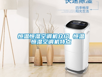知识百科恒温恒湿空调机介绍 恒温恒湿空调机特点