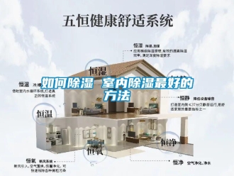 企业新闻如何除湿 室内除湿最好的方法