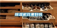 除湿机效果好吗