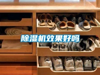 行业新闻除湿机效果好吗