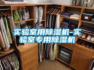 行业新闻实验室用除湿机-实验室专用除湿机