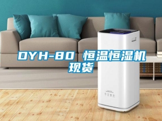 常见问题DYH-80 恒温恒湿机现货