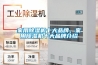 家用除湿机十大品牌，家用除湿机十大品牌介绍