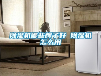 行业新闻除湿机哪些牌子好 除湿机怎么用