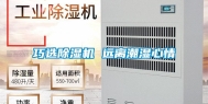 巧选除湿机 远离潮湿心情