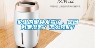 家里的粮食发霉了，是因为潮湿吗？怎么预防？