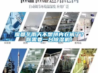 行业新闻魔都冬雨天不想拼内衣裤了？你需要一台除湿机！